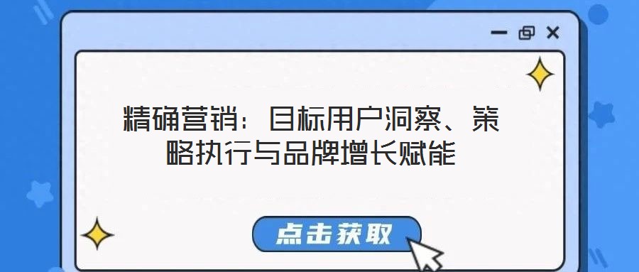 精確營銷:目標用戶洞察、策略執行與品牌增長賦能