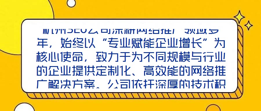 杭州SEO公司深耕網絡推廣領域多年,始終以“專業賦能企業增長”為核心使命,致力于為不同規模與行業的企業提供定制化、高效能的網絡推廣解決方案。公司依托深厚的技術積