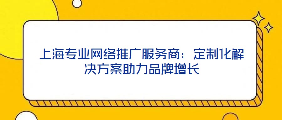 上海專業網絡推廣服務商：定制化解決方案助力品牌增長