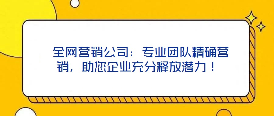 全網營銷公司:專業團隊精確營銷,助您企業充分釋放潛力!