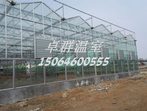 內蒙古包頭市紋絡玻璃溫室。